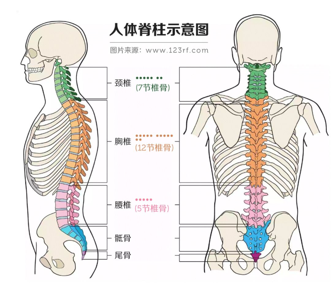 文章附图